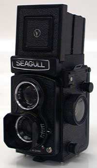 Fitted to a Seagull